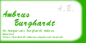ambrus burghardt business card